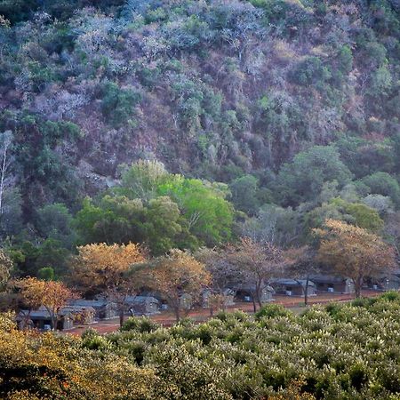 האזיביו Lions Rock Rapids - Luxury Tented Camp מראה חיצוני תמונה