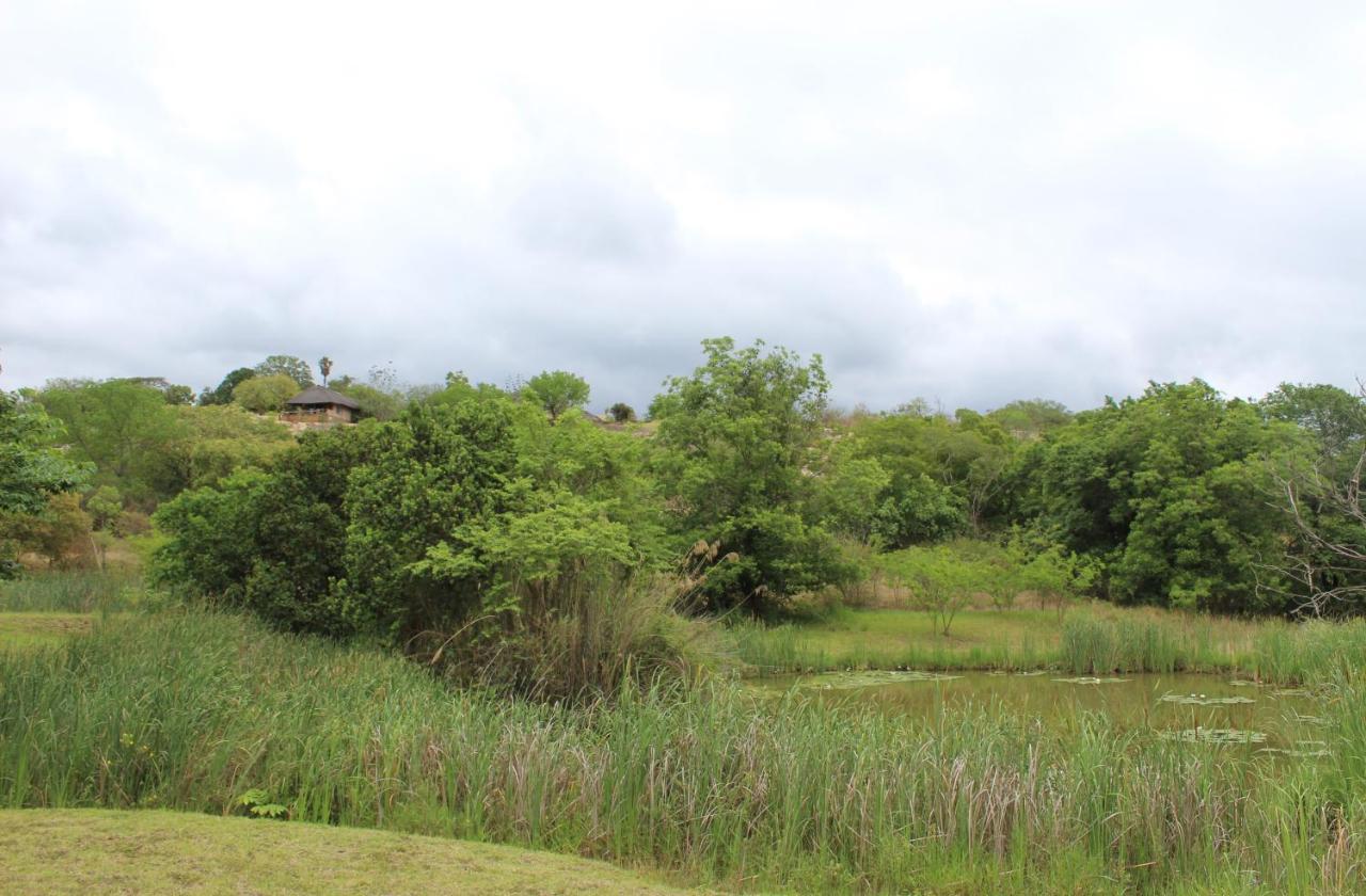 האזיביו Lions Rock Rapids - Luxury Tented Camp מראה חיצוני תמונה