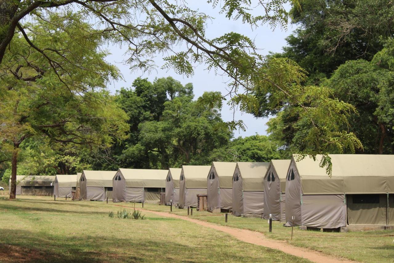 האזיביו Lions Rock Rapids - Luxury Tented Camp מראה חיצוני תמונה