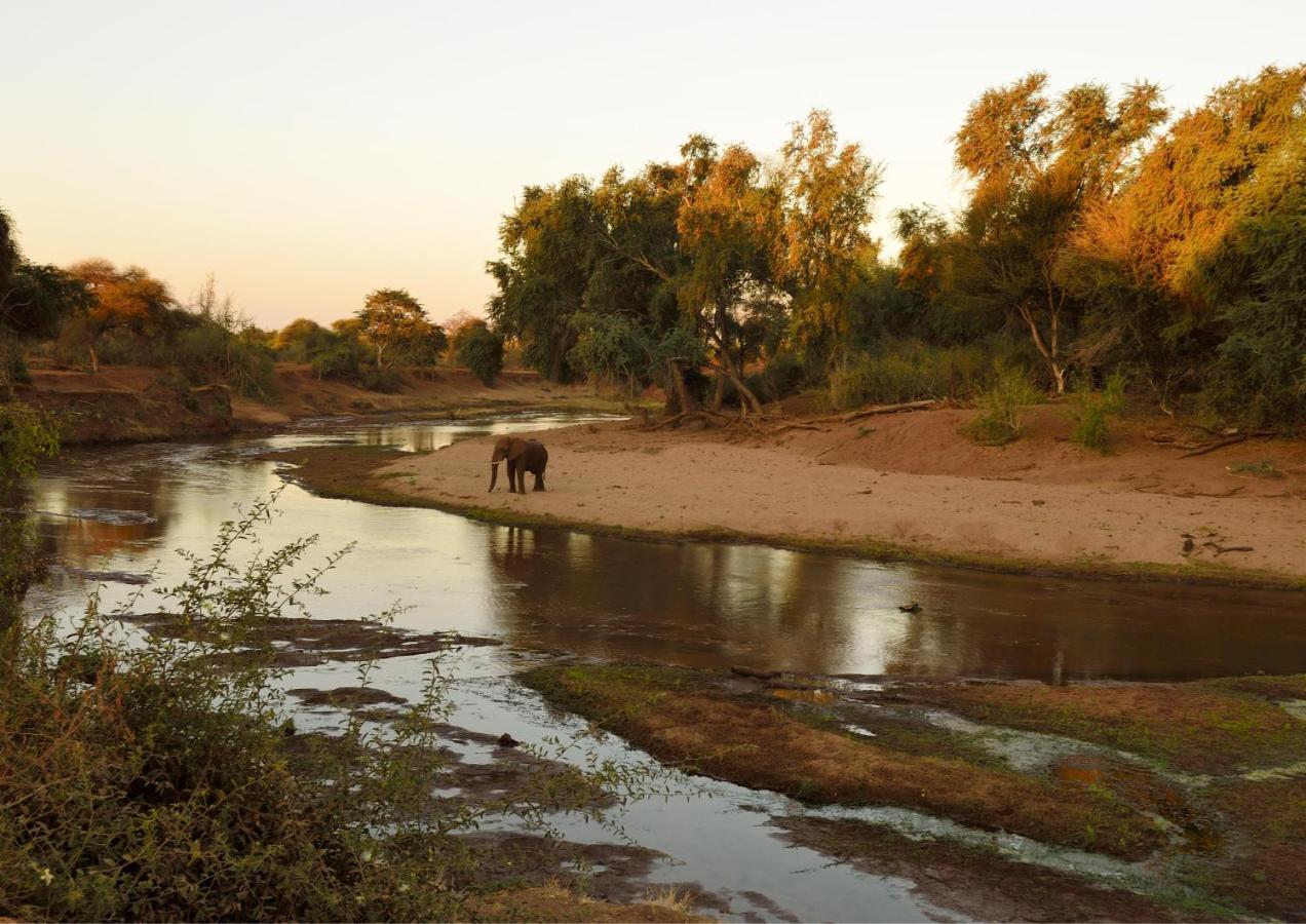 האזיביו Lions Rock Rapids - Luxury Tented Camp מראה חיצוני תמונה
